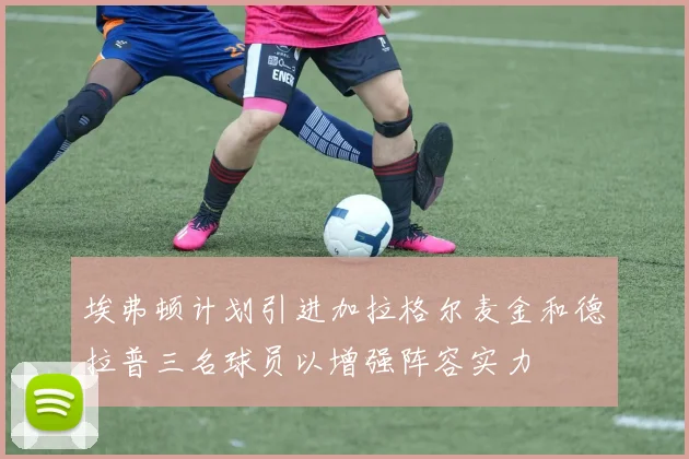 埃弗顿计划引进加拉格尔麦金和德拉普三名球员以增强阵容实力