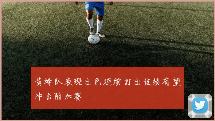 黄蜂队表现出色连续打出佳绩有望冲击附加赛